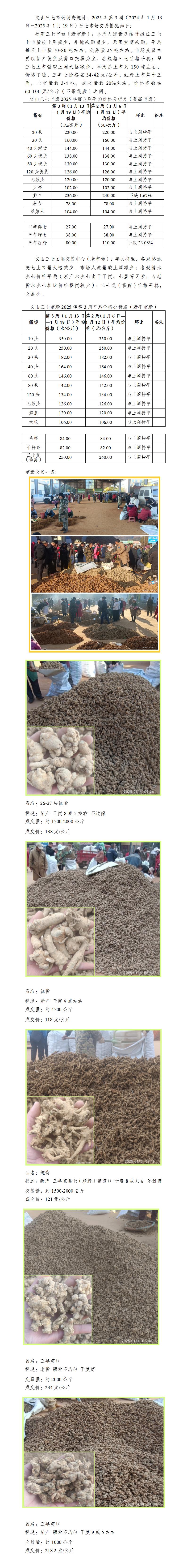 三七中医药信息第期 文山三七市场2025年第3周三七平均价格分析_01.jpg